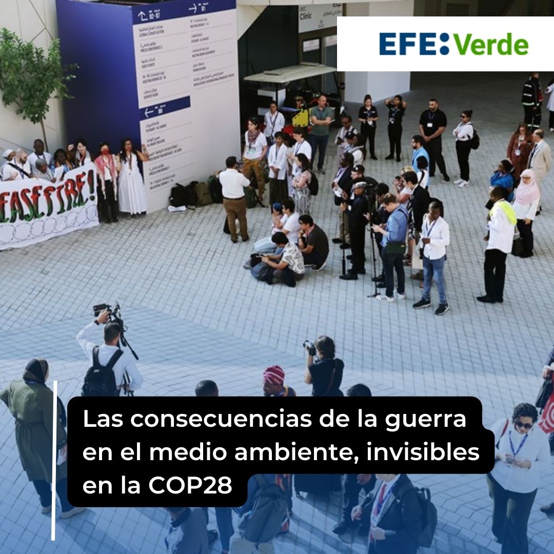 Las consecuencias de la guerra en el medio ambiente, invisibles en la COP28